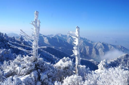 캔디여행사[부산출발]무주 덕유산 곤돌라 탑승 눈꽃투어 겨울패키지 당일여행