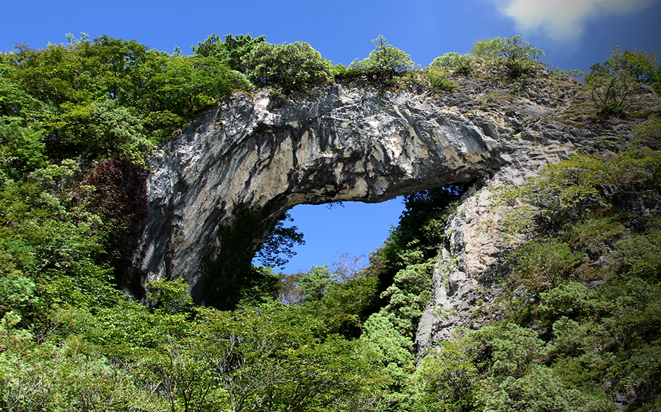 캔디여행사[부산출발]단양팔경 유람선+영주 소수서원&선비촌 당일여행